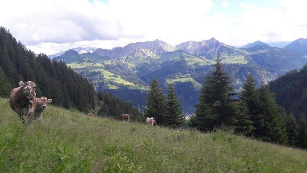 Готель Berghaus Schafer Фашіна Екстер'єр фото