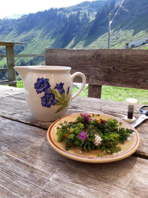 Готель Berghaus Schafer Фашіна Екстер'єр фото